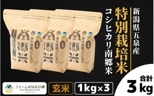 令和7年産 特別栽培米 新潟県五泉産コシヒカリ 「南郷米」 玄米 3kg 新潟県 五泉市 ファームみなみの郷新潟県五泉市12000米・パン白米