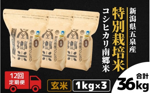 令和7年産 新米 【 定期便 12ヶ月 】 玄米 3kg ( 1kg × 3袋 ) × 12回 五泉産 コシヒカリ 南郷米 特別栽培米 | げんまい こしひかり お米 おこめ 新潟県 五泉市 ファームみなみの郷新潟県五泉市144000