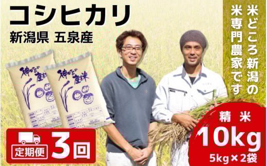 令和7年産 新米 【 定期便 3ヶ月 】 米 10kg ( 5kg × 2袋 ) × 3回 五泉産 コシヒカリ | 白米 精米 こしひかり お米 おこめ 新潟県 五泉市 わくわく農場新潟県五泉市99000米・パン白米