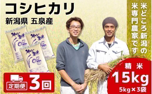 令和7年産 新米 【 定期便 3ヶ月 】 米 15kg ( 5kg × 3袋 ) × 3回 五泉産 コシヒカリ | 白米 精米 こしひかり お米 おこめ 新潟県 五泉市 わくわく農場新潟県五泉市150000米・パン白米