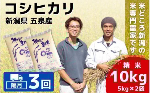 令和7年産 新米 【 隔月 3回 】 米 10kg ( 5kg × 2袋 ) 五泉産 コシヒカリ | 白米 精米 こしひかり お米 おこめ コメ こめ 新潟県 五泉市 わくわく農場新潟県五泉市99000米・パン白米