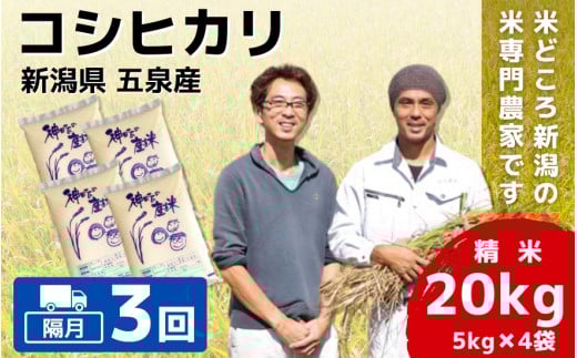 令和7年産 新米 【 隔月 3回 】 米 20kg ( 5kg × 4袋 ) 五泉産 コシヒカリ | 白米 精米 こしひかり お米 おこめ コメ こめ 新潟県 五泉市 わくわく農場新潟県五泉市201000米・パン白米