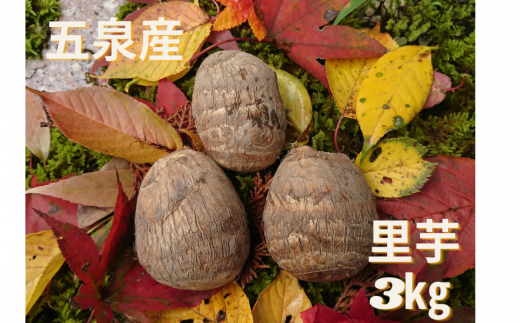 五泉産 里芋 3kg ( M〜Lサイズ混合 ) | さといも 新鮮 野菜 やさい 特産 名産 産地直送 新潟県 五泉市 株式会社蛇場農産新潟県五泉市13000野菜・きのこ大根・ニンジン・根菜類