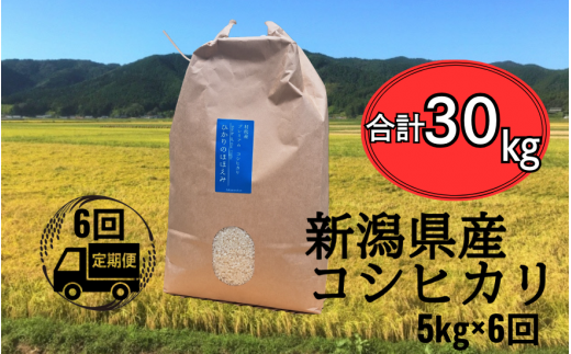 令和7年産 新米 【 定期便 6ヶ月 】 米 5kg × 6回 五泉産 コシヒカリ | 白米 精米 こしひかり お米 おこめ コメ こめ おすすめ 人気 新潟県 五泉市 株式会社蛇場農産新潟県五泉市108000米・パン白