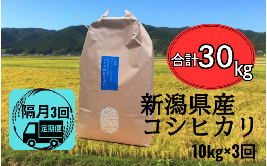 新米〈隔月3回定期便〉 令和7年産 五泉産 コシヒカリ 精米 10kg (10kg×1袋) 新潟県 五泉市 株式会社蛇場農産新潟県五泉市107000米・パン白米
