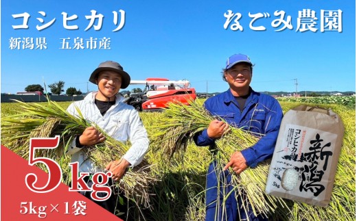 【令和7年産米】 なごみ農園のコシヒカリ 5kg (5kg×1袋) 白綬有功章受章 新潟 | 白米 精米 こしひかり お米 おこめ コメ こめ 新潟県 五泉市 なごみ農園新潟県五泉市18000米・パン白米