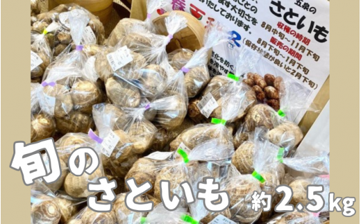 旬の野菜 さといも 2.5kg | 里芋 新鮮 野菜 やさい 特産 名産 産地直送 新潟県 五泉市 まるっと五泉プロジェクトFunSpace株式会社新潟県五泉市11000野菜・きのこ大根・ニンジン・根菜類