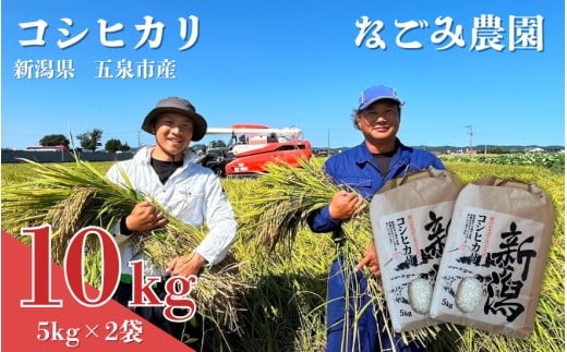 【令和7年産米】 なごみ農園のコシヒカリ 10kg (5kg×2袋) 緑白綬有功章受章 新潟 | 白米 精米 こしひかり お米 おこめ コメ こめ 新潟県 五泉市 なごみ農園新潟県五泉市35000米・パン白米