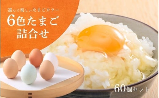 【 先行予約 】 卵 6色たまご詰合せ 60個 キムラファームの産みたて卵 | 産みたて たまご 卵 玉子 タマゴ 鶏卵 卵かけご飯人気 おすすめ お取り寄せ 新潟県 五泉市 ( 2025年9月以降順次発送 )新