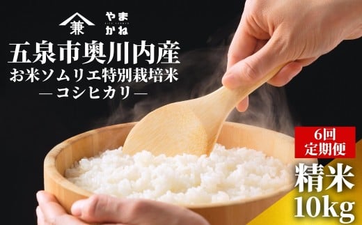 令和7年産 新米 【 定期便 6ヶ月 】 米 10kg ( 5kg × 2袋 ) × 6回 五泉市奥川内産 コシヒカリ お米ソムリエ 特別栽培米 | 白米 精米 こしひかり お米 新潟県 五泉市 ライスファーマーやまかね新潟