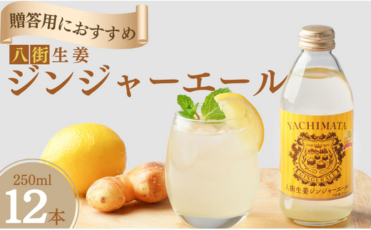 \ ギフトにおすすめ / 大人 の 辛口 ジンジャーエール 250ml × 12本 贈答用 ギフト ギフト用 八街産 生姜 しょうが 八街 ジュース ジンジャー 瓶 ビン セット千葉県八街市18000お茶・飲料その