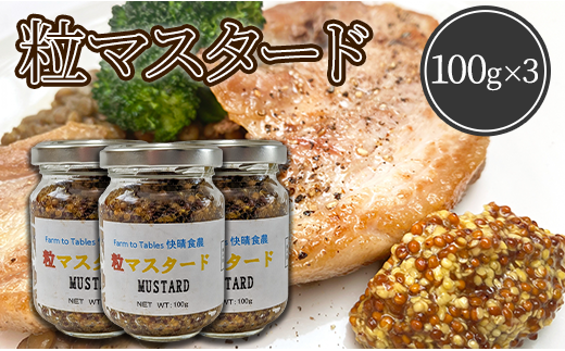 Farm to Tables 快晴食農 粒マスタード(100g×3)千葉県八街市12000調味料・油