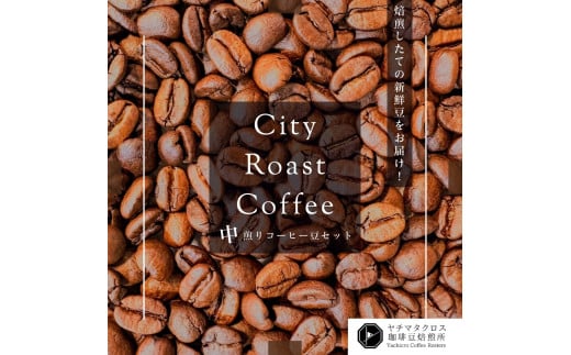 XyVeBR[q[  R[q[ 200g×2 v 400g `}^NX蓤 `NR[q[ 蓤 City Roast Coffee VeB[XgtXs20000ER[q[Eg