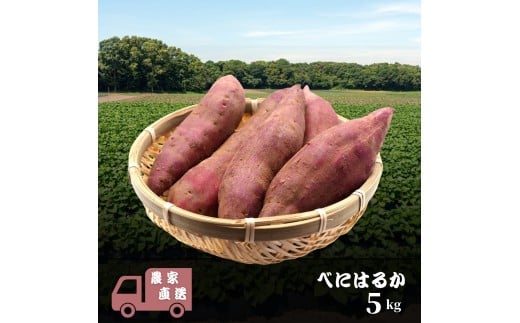 ׂɂ͂邩 5kg g͂邩 ܂ _ƒ ܂ F Tc}CtXs12000؁ÊႪEC