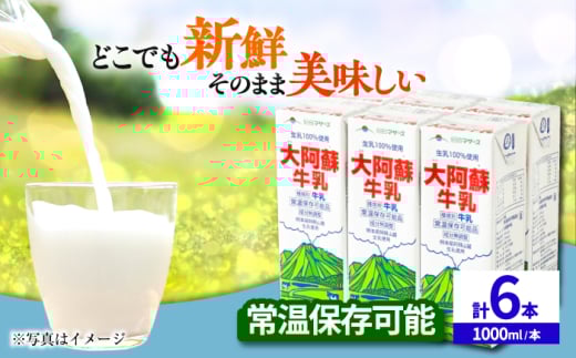 刢h 1000ml (6{) y ׂz F{Y F{ B 100% ~N JVE Y  퉷  [AYCB009]F{us12000EiE