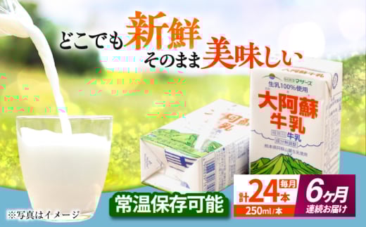 yS6ցz 刢h 250ml i24{j ~N JVE F{Y Yy ׂz F{ B 100% 퉷  [AYCB030]F{us71000EiE