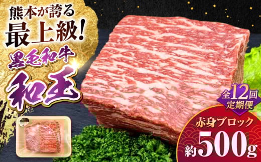 yS12ցzF{YA5 јa a ԐgubN 500g v6kgy_u~[g Ёz     Ԑg ubN [Xgr[t Ă o[xL[ A5 a Y F