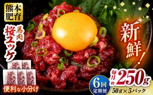 yS6ցzn 烆bP 50g×5pbN v250g  bP Ԑg H  Ⓚ n  bP ܂ F{ usy܉Eqt[YF{Xz [AYBV029]F{us75000W