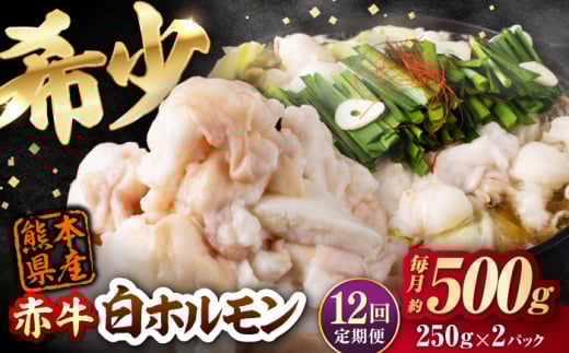 【全12回定期便】 赤牛 ホルモン 500g(250g×2パック) / お肉 肉 牛肉 あか牛 小腸 シロホルモン もつ 熊本県産 冷凍 和牛 赤牛 褐毛和種 ホルモン モツ モツ鍋 もつ鍋 鍋 焼き肉 焼肉 定期便 定