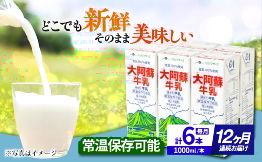 yS12ցz 刢h 1000ml i6{j  ~N JVE F{Y Yy ׂz F{ B 100% 퉷  [AYCB023]F{us142000EiE