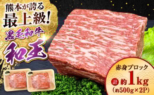 熊本県産 A5等級 黒毛和牛 和王 赤身ブロック 約500g×2P 計約1kg【帝神志方ミート 株式会社】 牛 肉 モモ もも 赤身 ブロック ローストビーフ 焼き肉 バーベキュー A5 和牛 国産 熊本 定期便 [AYCH