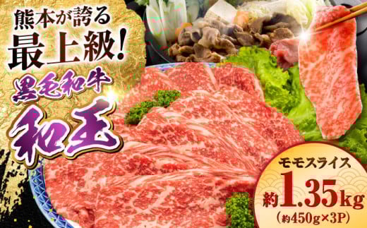 F{Y A5 јa aXCX 1350gy_u~[g Ёz     XCX Ԃ Ă A5 a Y F{ [AYCH096]F{us32000