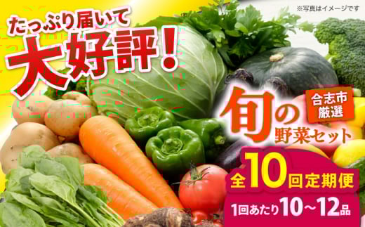 【年10回コース定期便】合志の旬のお野菜10〜12品目【一般社団法人クラッシーノこうし】野菜 旬 季節 詰合せ 国産 合志市 おまかせ 詰め合わせ 産地 直送 春野菜 夏野菜 秋野菜 冷蔵 根菜 果