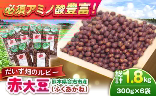 熊本県産 赤大豆(品種 ふくあかね)300g×6袋 【一般社団法人クラッシーノこうし】大豆 だいず ダイズ 熊本県産 熊本県 熊本 合志市 合志 くまもと こうし 赤大豆 ふくあかね アントシアニ
