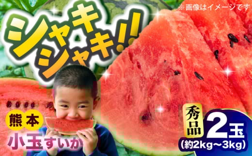 【2026年発送分 先行予約】【数量限定】【秀品】小玉すいか 2玉 約2kg〜3kg【株式会社 Foody’s】 スイカ すいか 果物 フルーツ 小玉 お取り寄せ 小玉スイカ 小玉すいか クマモト くまもと 熊本