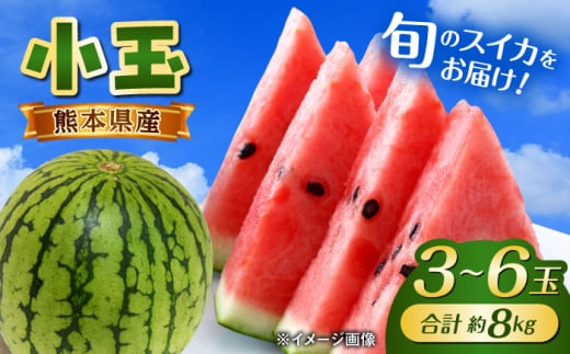 y2026Ns\zyʌzܐZ 18kg (3L`M 3`6ʓ)y GGYpbP[Wz   XCJ Z F{ ܂ N}g Yi  [AYAU003]F{us1