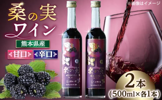 桑の実 ワイン (甘口・辛口) 500ml×2本【株式会社 峯樹木園】合志市 熊本県 熟成ワイン ワイン わいん 酒 お酒 洋酒 果実酒 辛口 甘口 桑の実 マルベリー お祝い 贈答 贈り物 飲み比べ ワイ