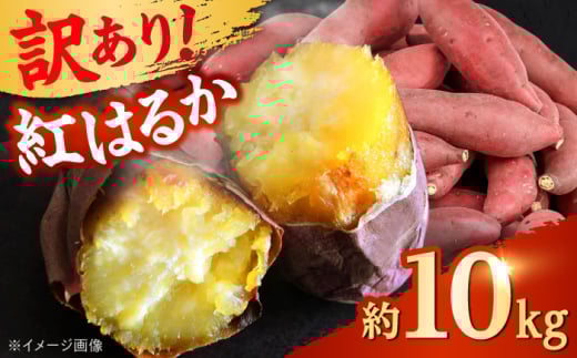 ys\z y󂠂z yʌz g͂邩 ܂ 10kg 1 yShiro Planning Ёz܂ g͂邩  Tc}C Â Ă XC[g|eg F{Y ˂Ƃ [AYAJ005]F