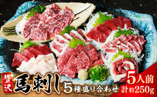 nh 5 荇킹Zbg 5lO 250g F{y Foodyfszn nh Ԑg ~ t^GS oq R[l Ă ΂ F{ Zbg ^t hg [AYAT011]F{us18