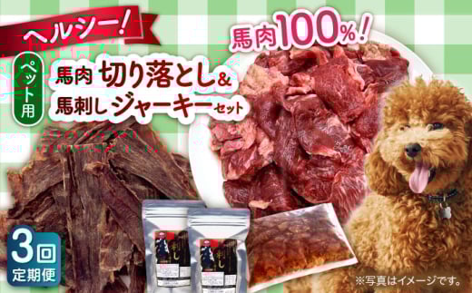 【全3回定期便】詰め合わせ 国内加工 ペット用 馬肉 切り落とし 1kg ペット用 馬刺しジャーキー 100g(50g×2) 馬肉 切り落とし ジャーキー 小分け ペットフード 愛犬 ドッグフード おやつ 食事