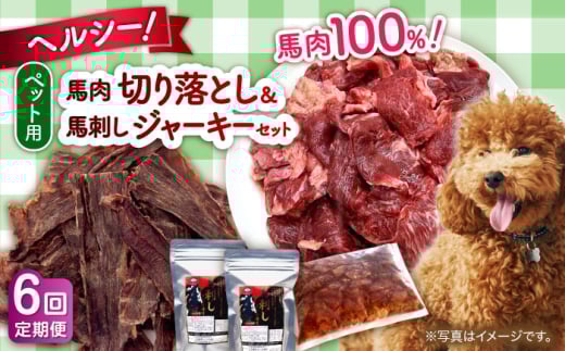 【全6回定期便】詰め合わせ 国内加工 ペット用 馬肉 切り落とし 1kg ペット用 馬刺しジャーキー 100g(50g×2) 馬肉 切り落とし ジャーキー 小分け ペットフード 愛犬 ドッグフード おやつ 食事