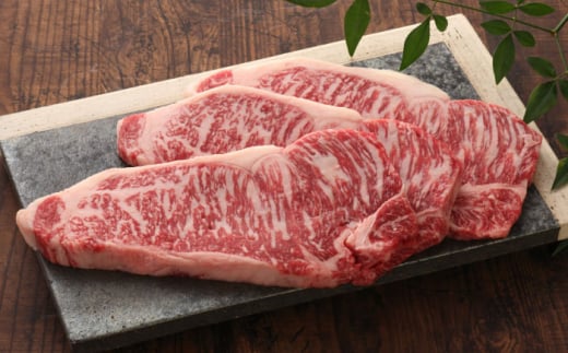 yGIF؁z܂ƂT[CXe[L 200g×3 yL O{Yz  T[C Xe[L  F{ Yi [AYCQ023]F{us43000