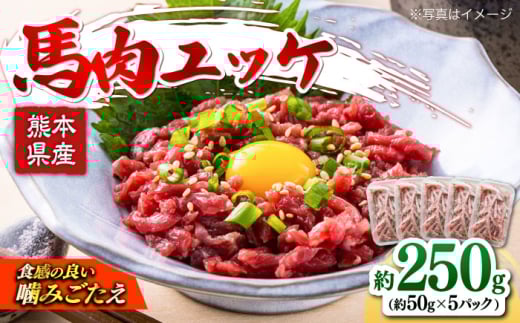 馬肉ユッケ 計約250g 約50g×5パック 【株式会社 肉の山本】熊本県 熊本 くまもと 馬刺し 馬肉 ユッケ ゆっけ 馬 国内肥育 小分け おつまみ 冷凍 配送無料 ジビエ 低カロリー ヘルシー 生肉 [