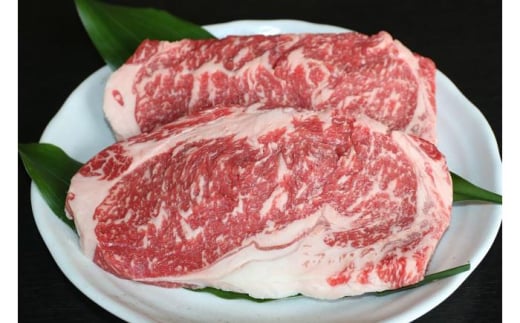 【全3回定期便】GI くまもとあか牛ロースステーキ 約500g【有限会社 桜屋】 冷凍 国産 牛肉 ステーキ 熊本 ロース ステーキ 赤牛 あか牛 あかうし 褐毛和種 肥後 国産 和牛 牛肉 ディナー