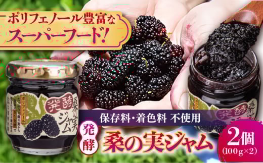 発酵桑の実 ジャム 2個セット(100g×2) 【株式会社 峯樹木園】合志市 熊本県 ジャム じゃむ 手造り 果肉 桑の実 朝食 朝ごはん ヨーグルト トースト お菓子 菓子 お菓子作り セット 贈り物