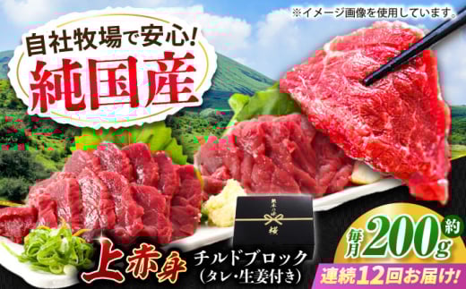 【全12回定期便】『純国産』熊本の味 上赤身 馬刺し 約200g ブロック チルド 冷蔵 タレ付き【有限会社 九州食肉産業】 馬刺し 馬肉 桜肉 馬 うま ウマ ヘルシー 国産 新鮮 専用タレ 上赤身 赤
