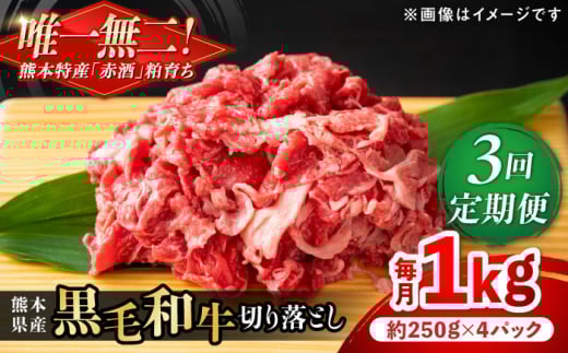 【全3回定期便】熊本県産 『原田畜産』 黒毛和牛 切り落とし 計約1kg(約250g×4パック) 牛肉 牛【有限会社 九州食肉産業】 黒毛 和牛 国産 牛丼 スタミナ丼 プルコギ丼 肉炒め ハヤシライス