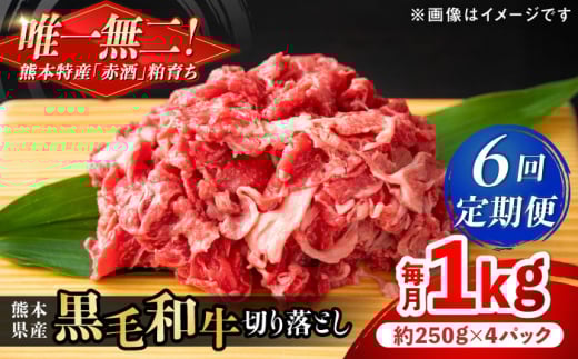 【全6回定期便】熊本県産 『原田畜産』 黒毛和牛 切り落とし 計約1kg(約250g×4パック) 牛肉 牛【有限会社 九州食肉産業】 黒毛 和牛 国産 牛丼 スタミナ丼 プルコギ丼 肉炒め ハヤシライス