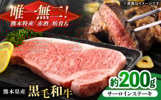 F{Y wc{Yx јa T[C Xe[L 200g  yL BHYƁz  a Y T[CXe[L   F{ F{ u us [AYCN048]F{us1000