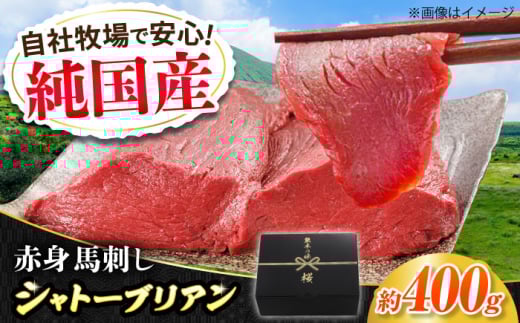 『純国産』熊本の味 赤身 馬刺し シャトーブリアン 計約400g(約200g×2パック)チルド 冷蔵 ブロック【有限会社 九州食肉産業】馬刺 馬肉 桜肉 馬 うま ウマ ヘルシー 国産 新鮮 専用タレ 上