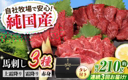 【全3回定期便】『純国産』熊本の味 馬刺し お試し 3種 セット 計約210g(2〜3人前)上霜降り 霜降り 赤身 タレ付 馬さし 馬肉 おためし 熊本 合志 おろし生姜付き 冷凍 定期【有限会社 九州
