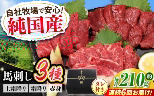 【全6回定期便】『純国産』熊本の味 馬刺し お試し 3種 セット 計約210g(2〜3人前)上霜降り 霜降り 赤身 タレ付 馬さし 馬肉 おためし 熊本 合志 おろし生姜付き 冷凍 定期【有限会社 九州