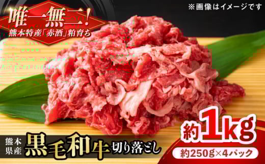熊本県産 『原田畜産』 黒毛和牛 切り落とし 計約1kg(約250g×4パック) 牛肉 牛【有限会社 九州食肉産業】 黒毛 和牛 国産 牛丼 スタミナ丼 プルコギ丼 肉炒め ハヤシライス カレー 野菜炒め