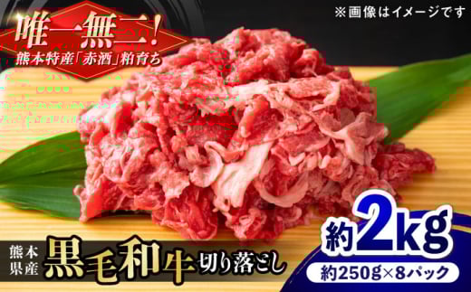 『原田畜産』 黒毛和牛 切り落とし 計約2kg (約250g×8パック) 【有限会社 九州食肉産業】 国産 牛肉 きりおとし 切り落とし スライス 小分け 牛丼 肉じゃが カレー 牛肉 きりおとし 熊本県産 [A