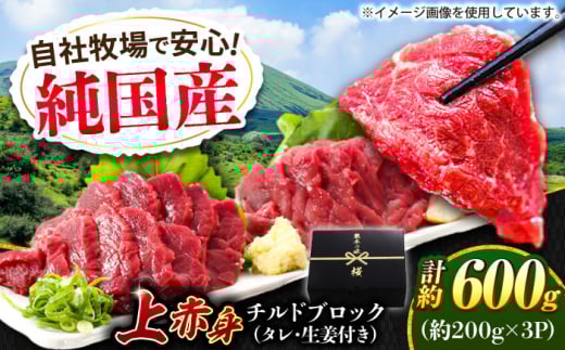 『純国産』熊本の味 上赤身 馬刺し 計約600g(約200g×3パック)ブロック チルド 冷蔵 タレ付き 【有限会社 九州食肉産業】  馬刺し 馬肉 桜肉 馬 うま ウマ ヘルシー 国産 新鮮 専用タレ 上赤