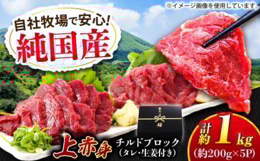 『純国産』熊本の味 上赤身 馬刺し 計約1kg(約200g×5パック)ブロック チルド 冷蔵 タレ付き 【有限会社 九州食肉産業】 馬刺し 馬肉 桜肉 馬 うま ウマ ヘルシー 国産 新鮮 専用タレ 上赤身